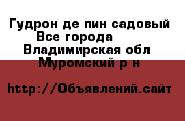 Гудрон де пин садовый - Все города  »    . Владимирская обл.,Муромский р-н